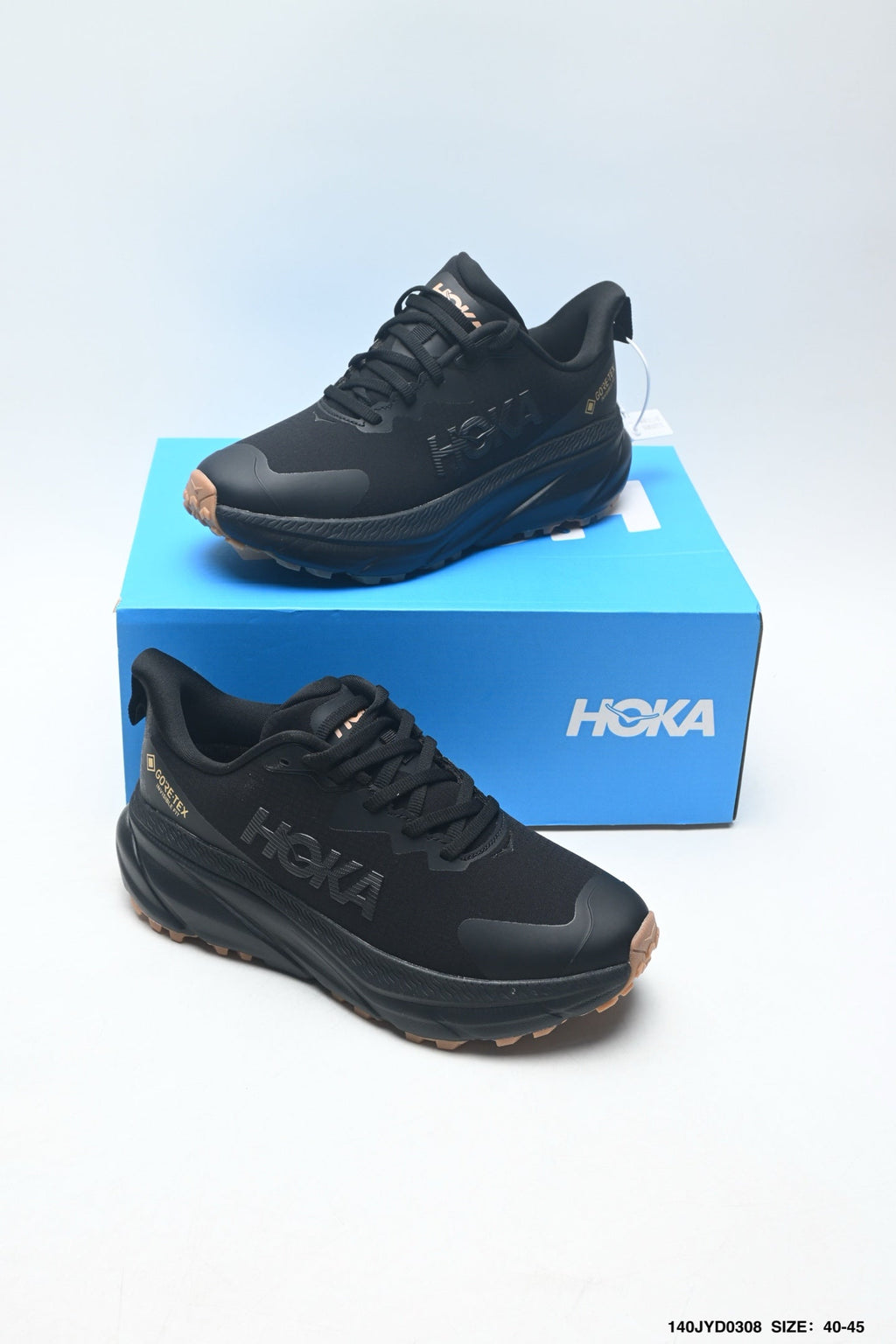 HOKA ONE ONE Challenger ATR 7 GTX